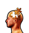 The Puzzle Of Mind Lost