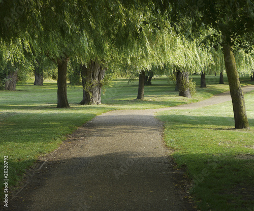 footpath