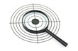 Magnifying glass and target