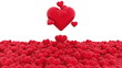 heart rise