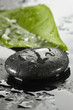 spa stones with water drops