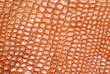 Imitation crocodile leather texture