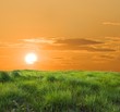 green meadow on a sunset green meadow on a sunset