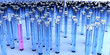 Illustration: Hundreds of blue test tubes and a pink one Hundreds of blue test tubes and a pink one