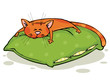 Vektor: Ginger cat sleeps on a green pillow Ginger cat sleeps on a green pillow