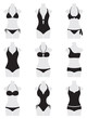 Vector: Swimwear Swimwear