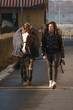 Amico cavallo 14