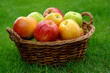 Apples in a basket