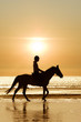 A cheval sur la plage