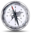 compass white