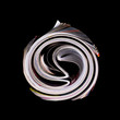 Rolled up magazine