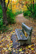 Path And Park Bench Path And Park Bench