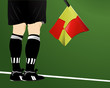 an soccer arbiter with flag