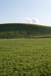 Verte prairie
