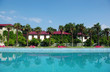 Clear blue water in large swimming pool with palm trees