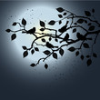 Floral Background, birds Floral Background, birds