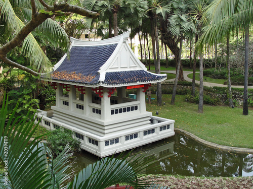 jardin sous les tropiques