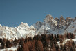 Montagne innevate con pineta