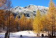 automne dans le mercantour