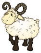 Widder, Aries, Bélier, Sternzeichen, Tierkreiszeichen