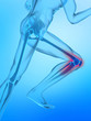 Running man with X-ray human knee Running man with X-ray human knee