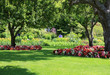 Park garden