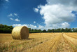 Campagne