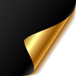 Curled corner. Easy editable Vector. Curled corner. Easy editable Vector.