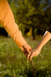 Photo: Hands in a meadow close-up Hands in a meadow close-up