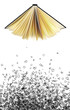 buch