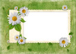 Card for the holiday  with flowers on the abstract background