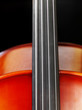 Cello closeup