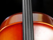 Cello closeup