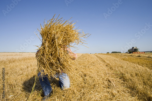 Photo: Farmer picking up straw Farmer picking up straw