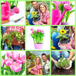 Florists
