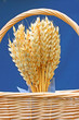 Wheat in a basket
