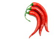 Chili peppers isolated on white