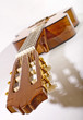 tête de guitare classique espagnole en gros plan