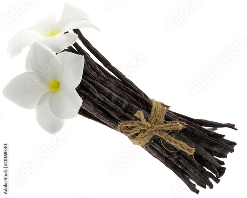 botte vanille Bourbon fond blanc