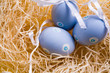 Eggs in nest