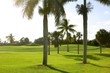 Miami Key Biscayne Golf tropical field Miami Key Biscayne Golf tropical field