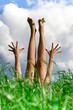 Summertime for feet