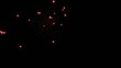 lichter