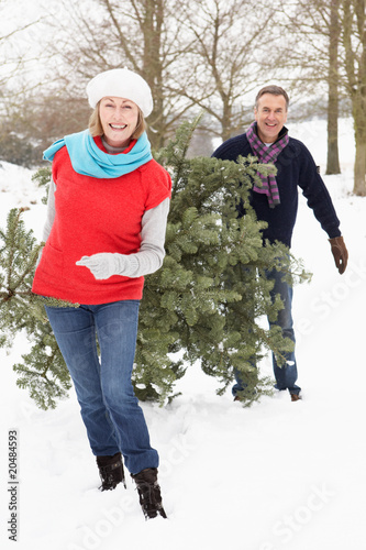 Photo: Senior Couple Carrying Christmas Tree In Snowy Landscape Senior Couple Carrying Christmas Tree In Snowy Landscape