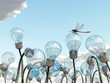 light bulb field