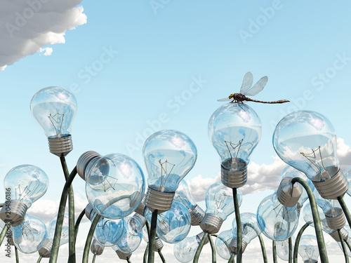 Illustration: light bulb field light bulb field