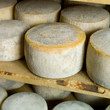 Formaggio pecorino stagionato Formaggio pecorino stagionato