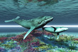 WHALE SONG