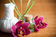 Composition zen, pochon massage Luk Pra Kob Composition zen, pochon massage Luk Pra Kob