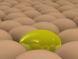 Golden egg Golden egg